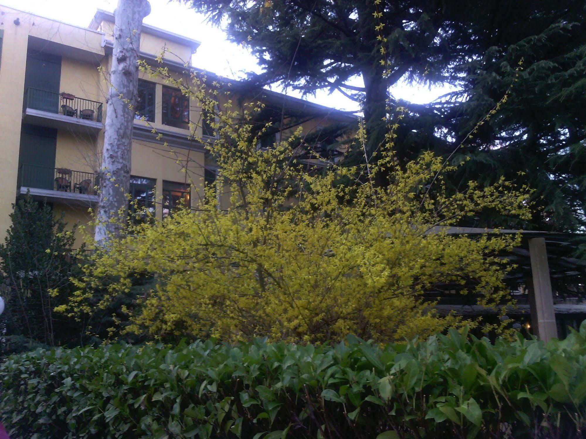 Hotel Salus Salice Terme Exterior photo